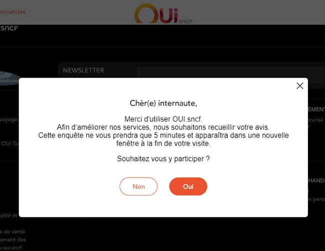 Questionnaire sur le site web
