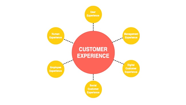 customer experience