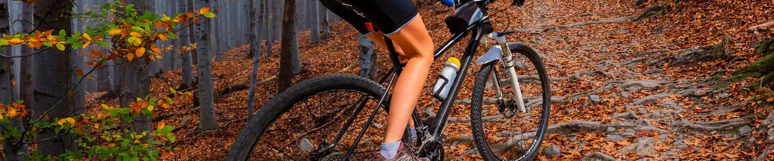 decathlon van rysel velo skeepers